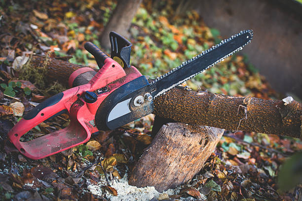 Best Stump Grinding and Removal  in Gordon, GA